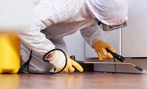 Best Pest Control for Multi-Family Homes  in Ben Wheeler, TX